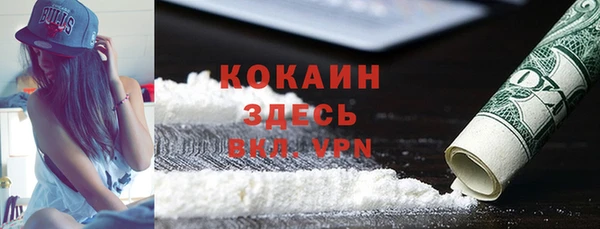 шишки Верея