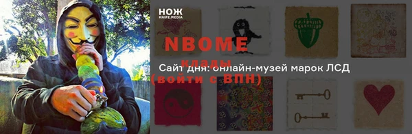 шишки Верея