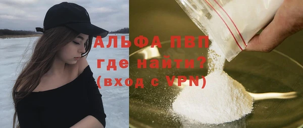 шишки Верея