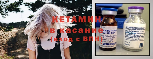 шишки Верея