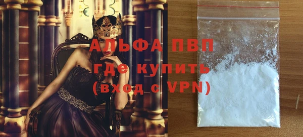 шишки Верея