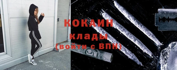 шишки Верея