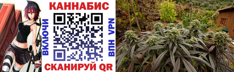 Каннабис гибрид  Купить где  Кандалакша 